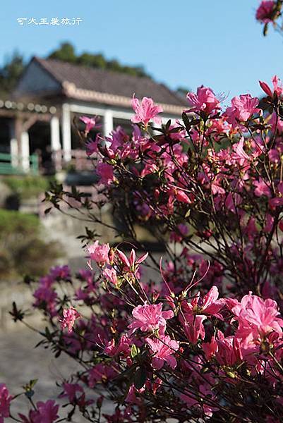 Yangmingshan_39