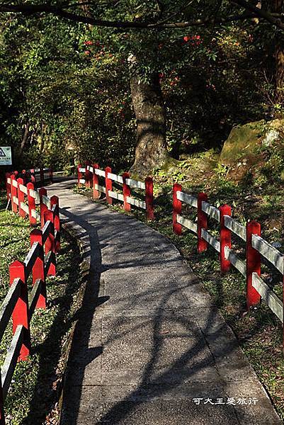 Yangmingshan_41