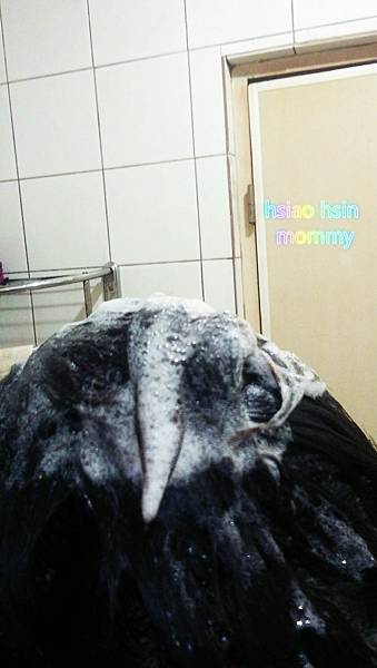 38175_meitu_6.jpg 試用