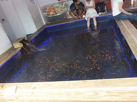 P9151450 (Copy).JPG P9151450 (Copy).JPG