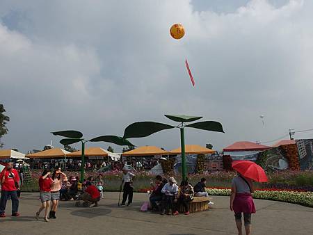 PB300005 (Copy).JPG PB300005 (Copy).JPG