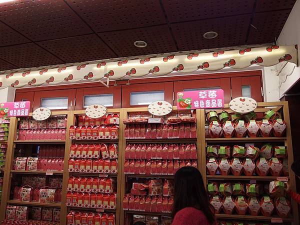 P1310262 (Copy).JPG P1310262 (Copy).JPG