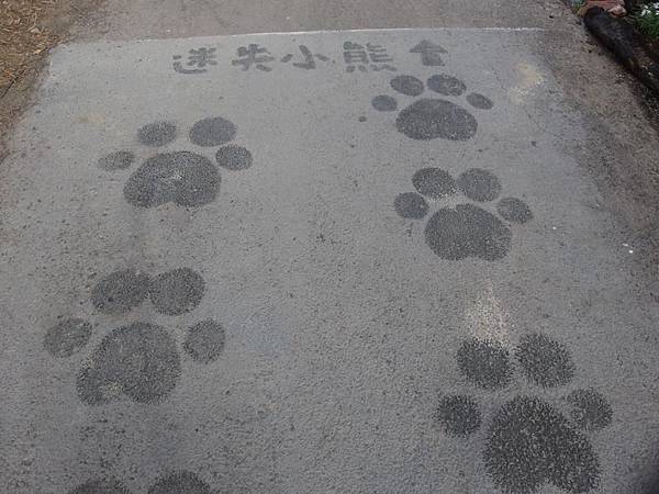 P2250495 (Copy).JPG P2250495 (Copy).JPG