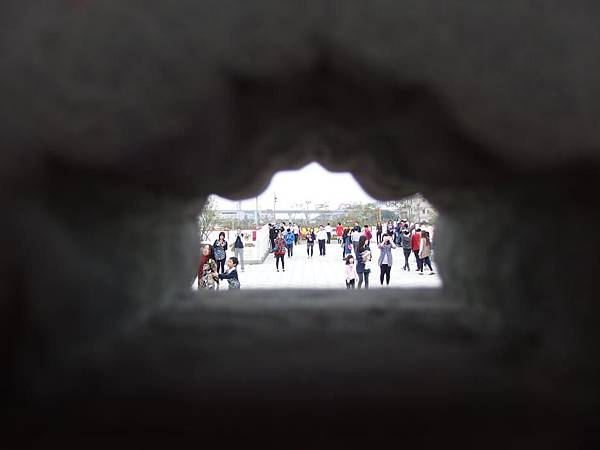 P2210293 (Copy).JPG P2210293 (Copy).JPG