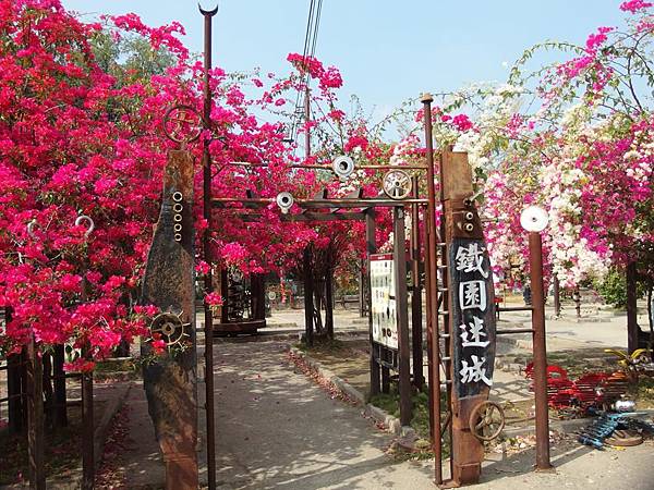 P2260178 (Copy).JPG P2260178 (Copy).JPG