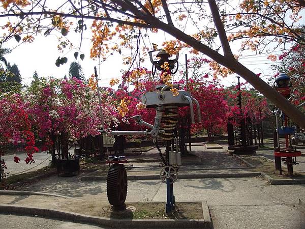 P2260158 (Copy).JPG P2260158 (Copy).JPG