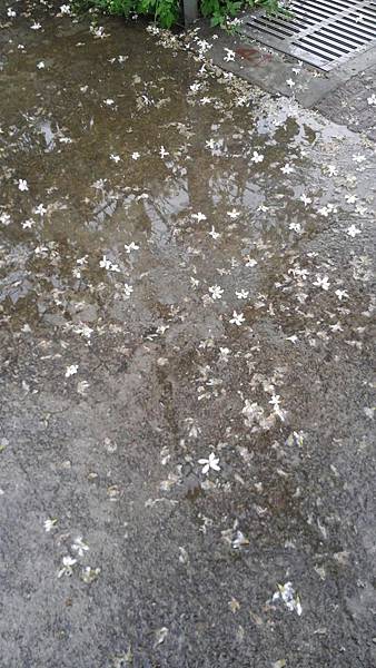 20150419_145831 (Copy).jpg