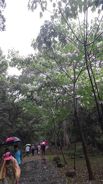 20150419_150307 (Copy).jpg