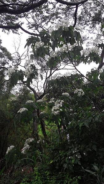 20150419_151447 (Copy).jpg