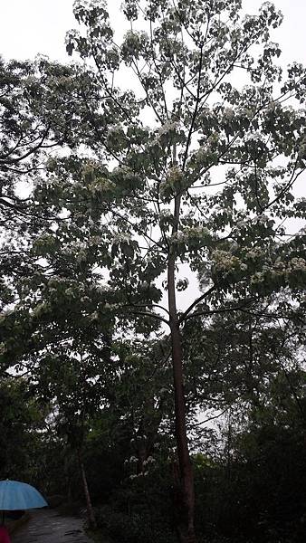 20150419_151359 (Copy).jpg