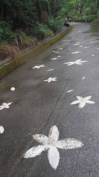 20150419_151453 (Copy).jpg