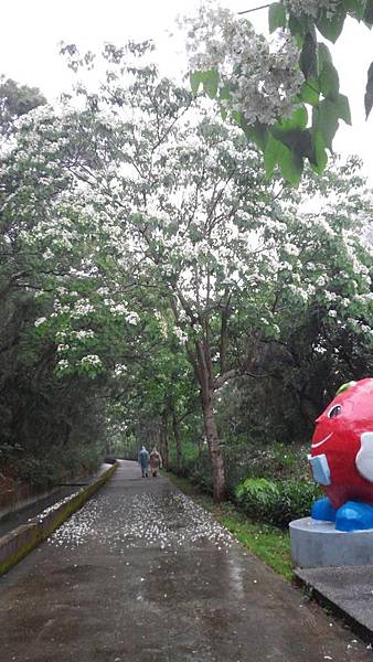 20150419_151816 (Copy).jpg