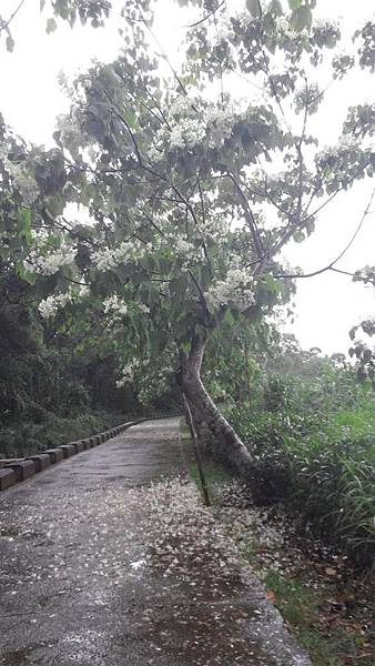 20150419_152542 (Copy).jpg