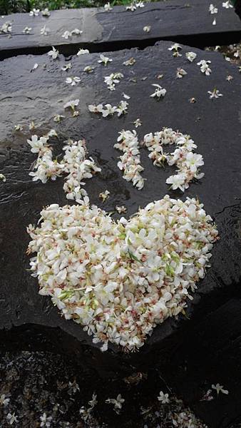 20150419_152827 (Copy).jpg