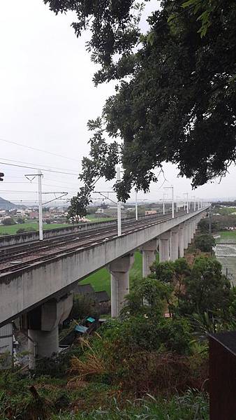 20150419_153329 (Copy).jpg