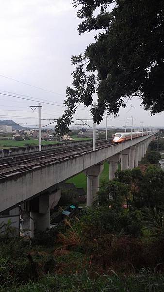 20150419_153618(1) (Copy).jpg