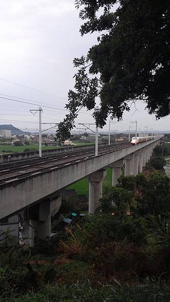 20150419_153618 (Copy).jpg