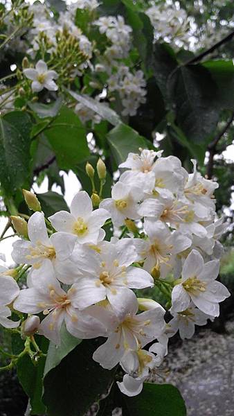 20150419_155511 (Copy).jpg