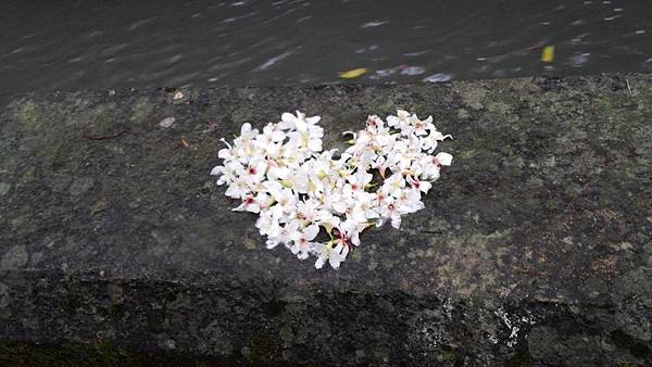 20150419_155900 (Copy).jpg