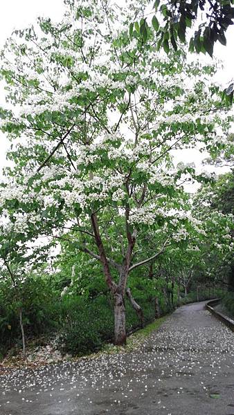 20150419_160151 (Copy).jpg