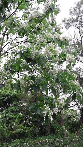 20150419_160607 (Copy).jpg