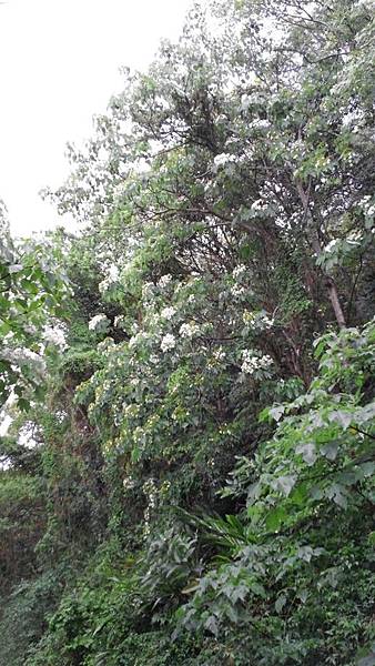 20150419_161541 (Copy).jpg