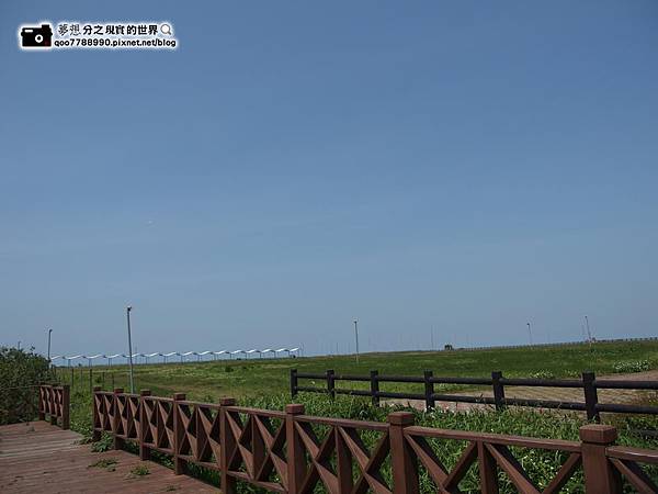 P3290429 (Copy).JPG P3290429 (Copy).JPG