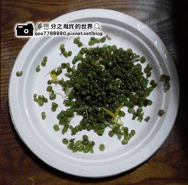 綠豆-1.jpg 綠豆-1.jpg