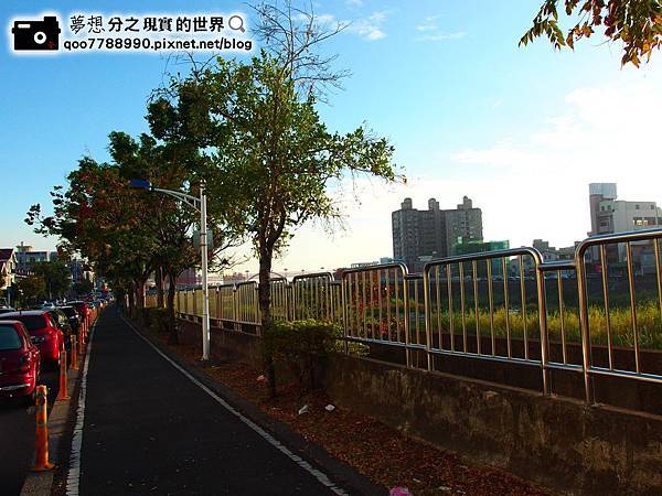 P1280154 (Copy).JPG P1280154 (Copy).JPG