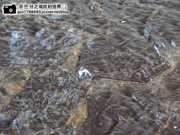 P1280031 (Copy).JPG P1280031 (Copy).JPG