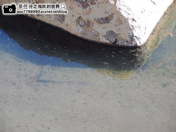 P1280039 (Copy).JPG P1280039 (Copy).JPG