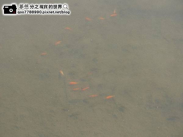 P1280044 (Copy).JPG P1280044 (Copy).JPG