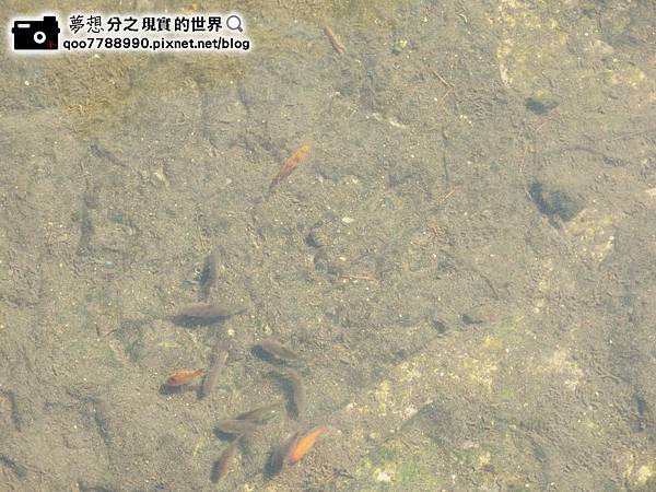 P1280051 (Copy).JPG P1280051 (Copy).JPG