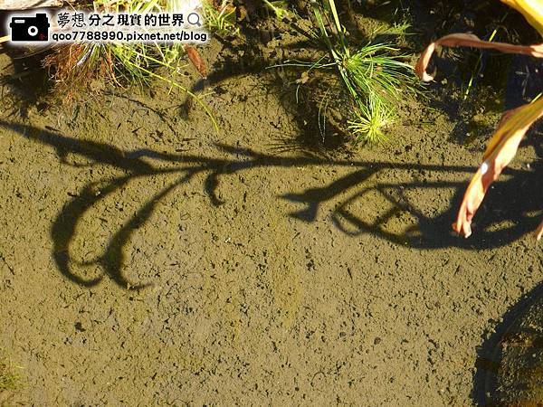 P1280038 (Copy).JPG P1280038 (Copy).JPG