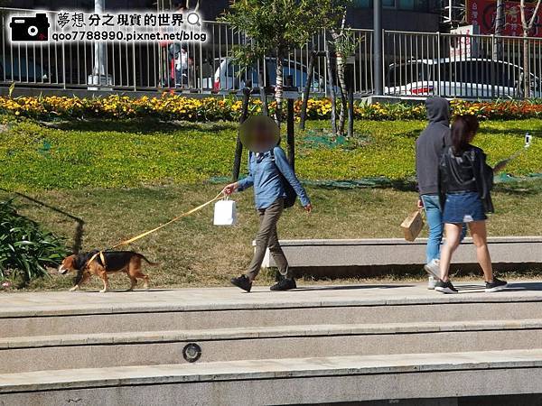 P1280065 (Copy).JPG P1280065 (Copy).JPG