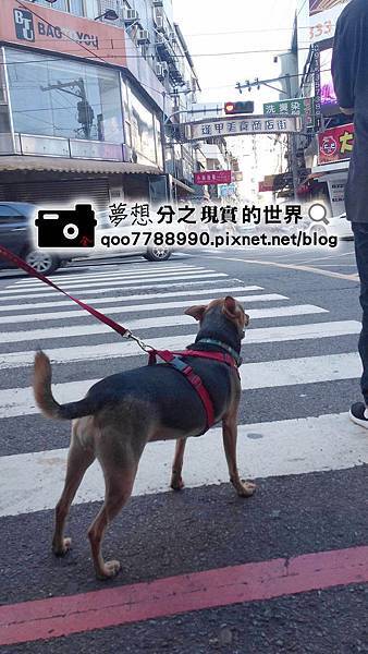 16731265_1443462295673367_1218638588_o.jpg 16731265_1443462295673367_1218638588_o.jpg