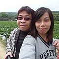 SAM_0375