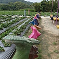 SAM_0369