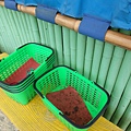 SAM_0370
