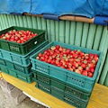 SAM_0371