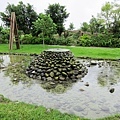 IMG_8556.JPG