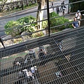 P2280212.JPG