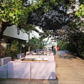 P2560048.JPG