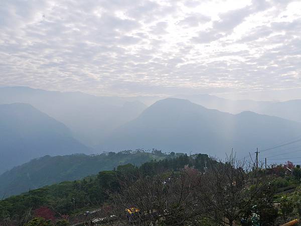 P2540376.JPG P2540376.JPG