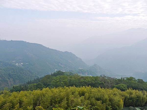 P2540421.JPG P2540421.JPG