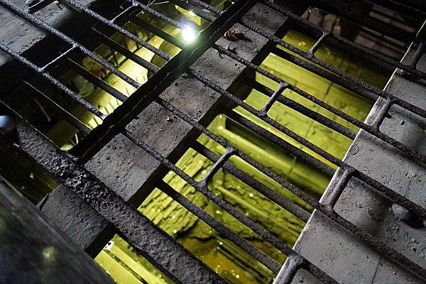 DSC04710.JPG DSC04710.JPG