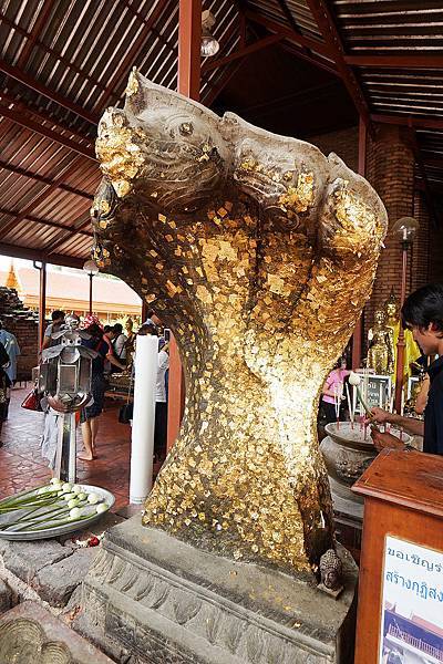 DSC04788.JPG DSC04788.JPG