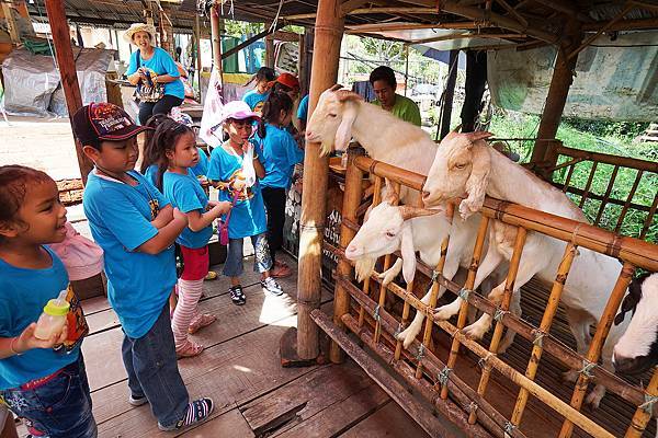 DSC05252.JPG DSC05252.JPG