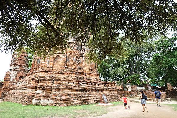 DSC05393.JPG DSC05393.JPG