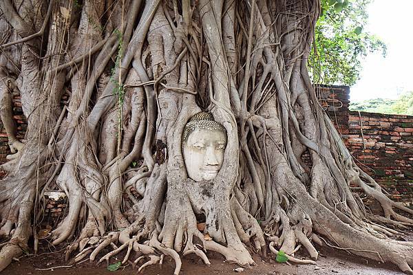 DSC05413.JPG DSC05413.JPG